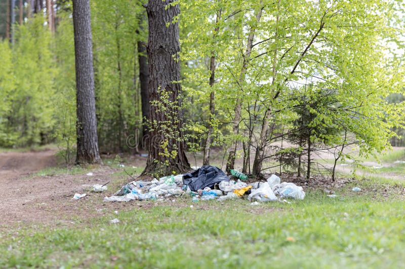 Garbage dump in the woods stock image. Image of cartons 92666831