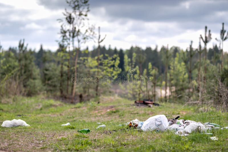 Garbage dump in woods stock photo. Image of pollute, cartons 92666830