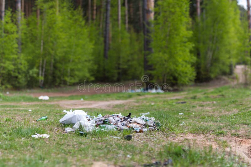 Garbage dump in the woods stock image. Image of cartons 92666831