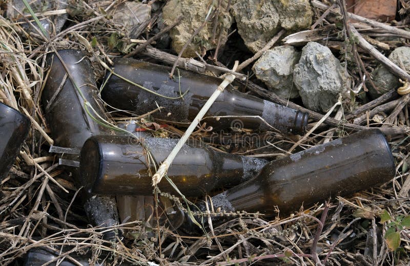 Empty bottles of beer tossed to the side of a road royalty free stock images