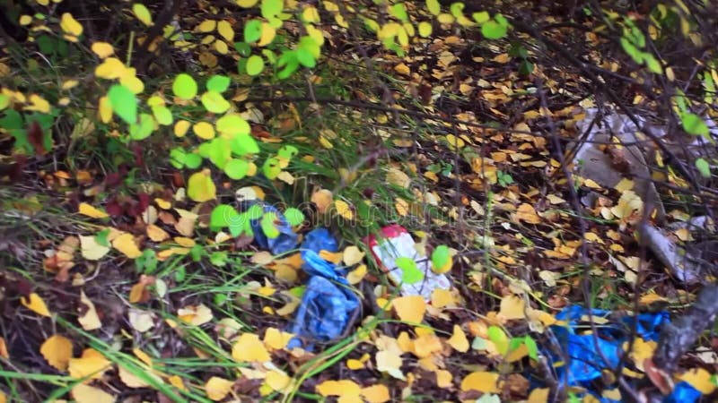 Garbage in the forest in autumn. environmental