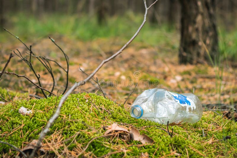 Garbage in the forest, empty plastic bottle lying on the forest undergrowth royalty free stock images