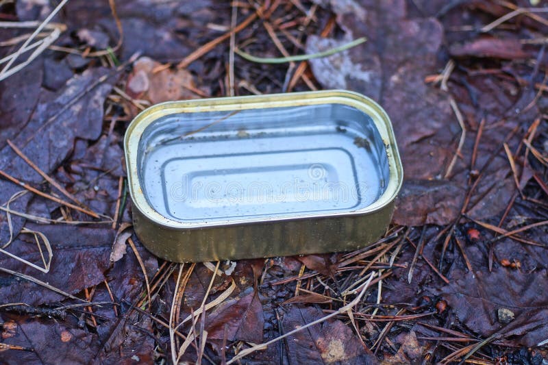 Garbage from one empty white dirty restangular can among brown vegetation in nature