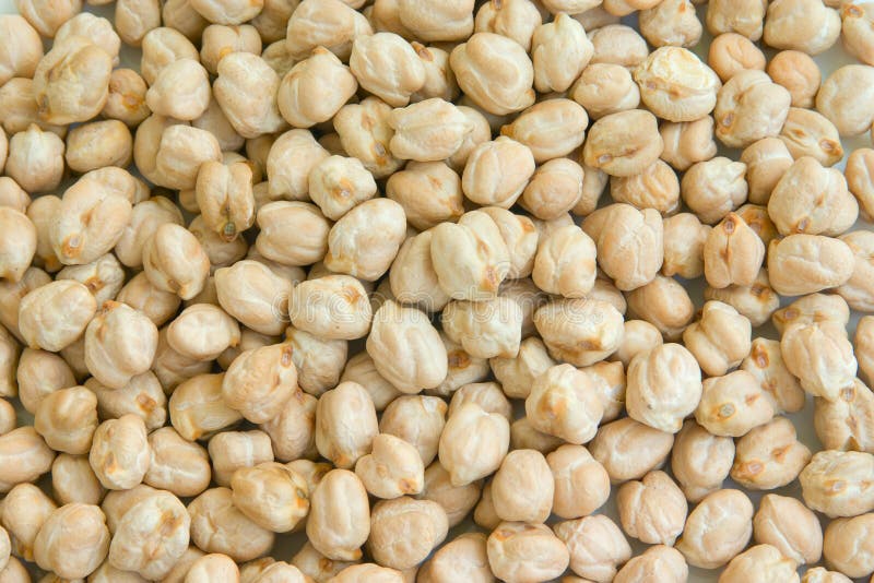 Garbanzo, garbanzo, gramo foto de archivo. Imagen de polluelo 11122176