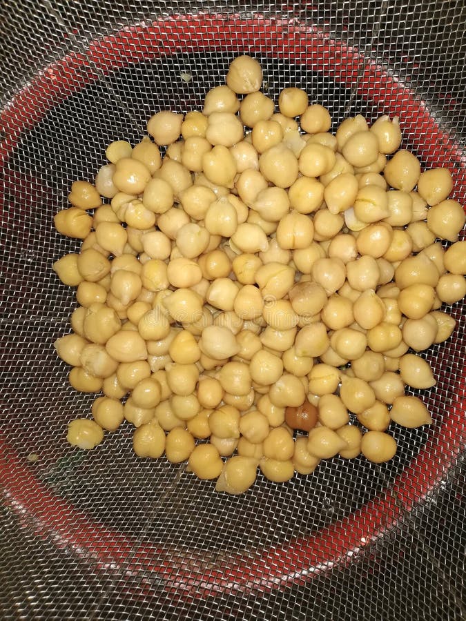 Garbanzos hervidos listos foto de archivo. Imagen de amarillo 192688134