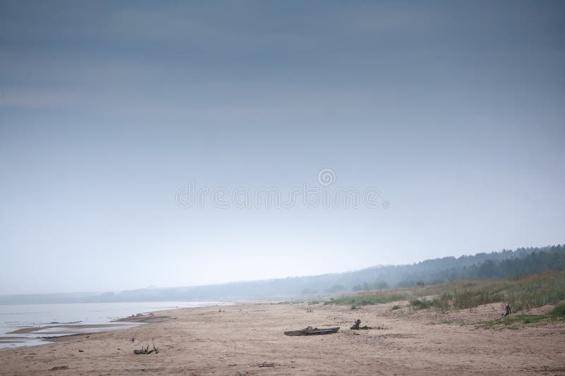 Garciems Beach på Lettlands baltiska kust ligger övergiven i mistalt regnblekt och utspridt drivträ och en hasseträd löses upp arkivbilder