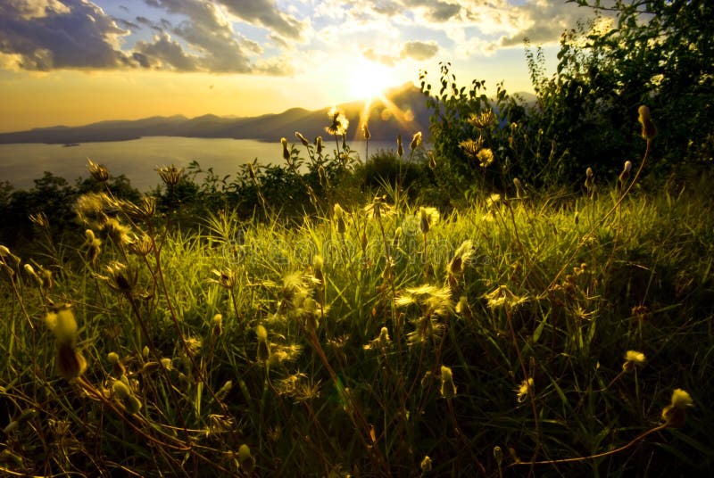 Garda lake landscape