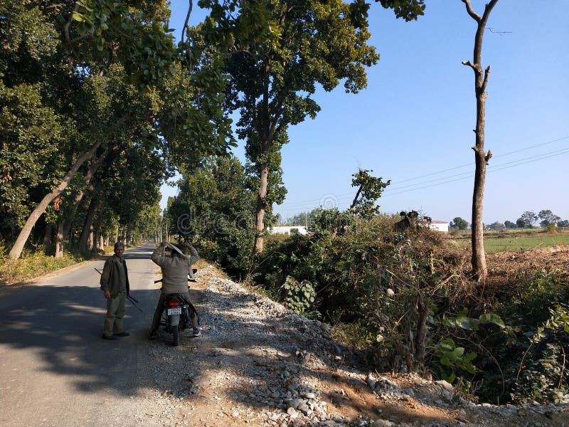 Garde indienne de forêt près de route latérale de forêt image stock Garde indienne de forêt près de route latérale de forêt image stock