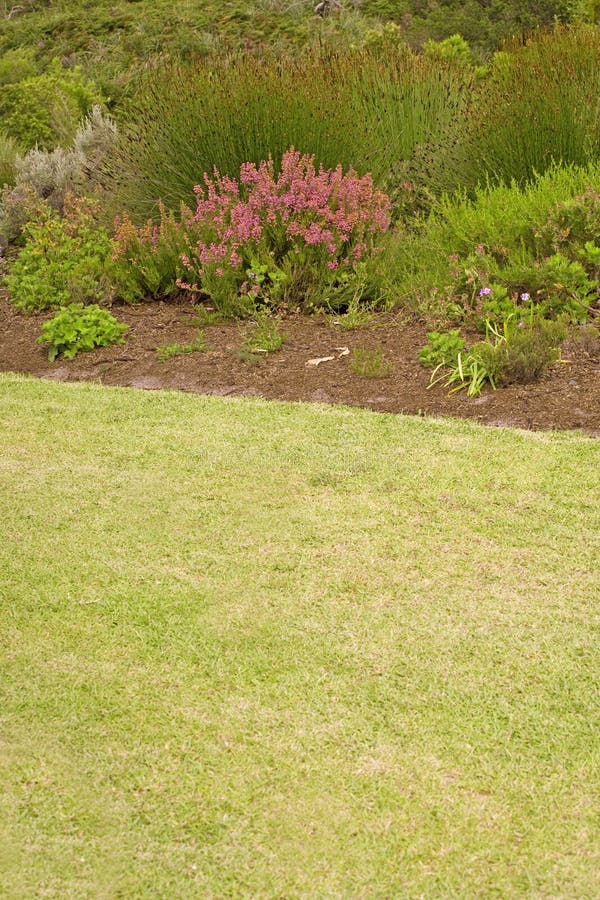 Jardín a pequeno de acuerdo a Golgi el curso.