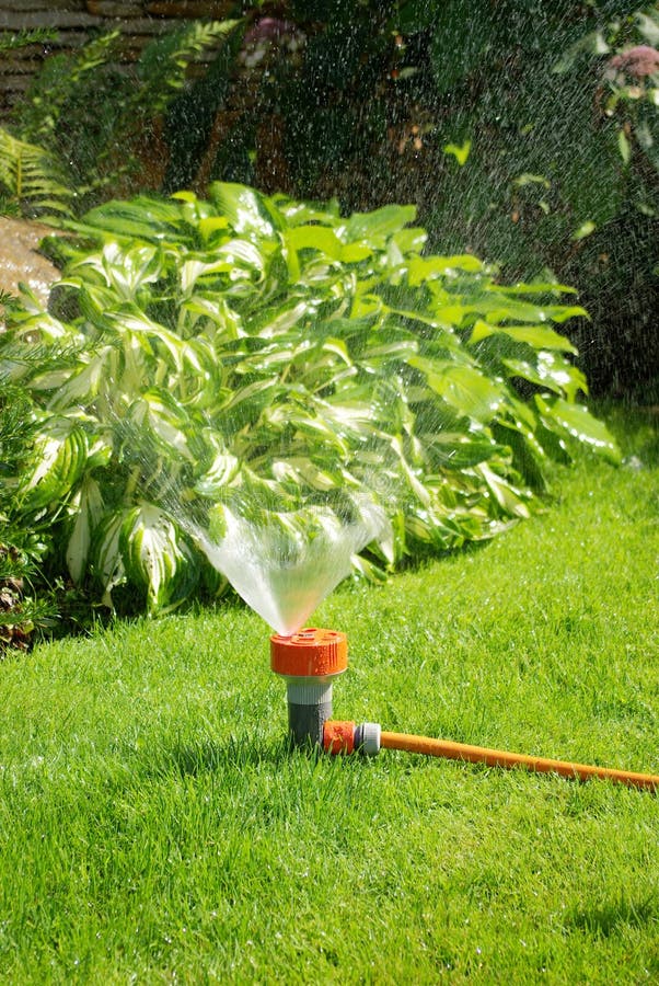 Salad garden bed stock image. Image of endive, radi, head 3382243