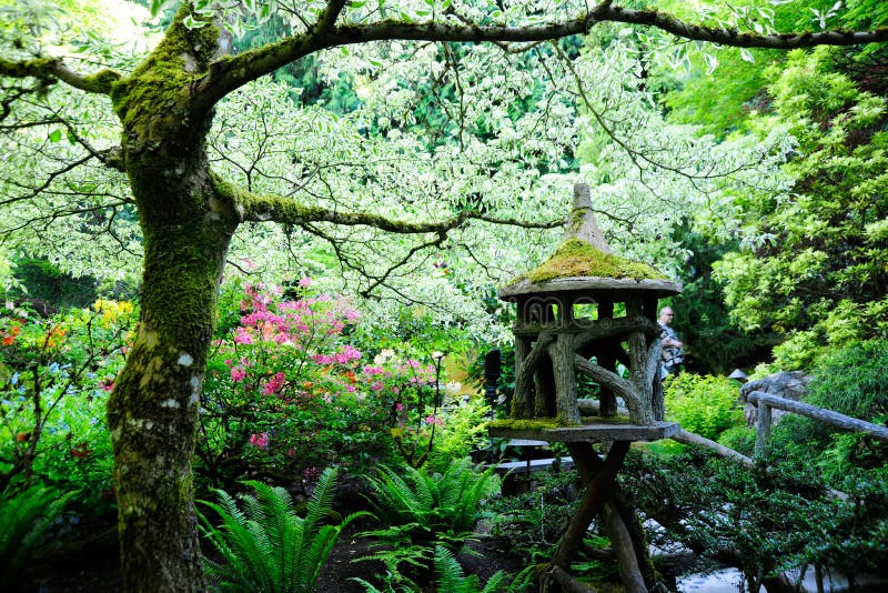 2,029 Vancouver Victoria Garden Stock Photos Free & RoyaltyFree