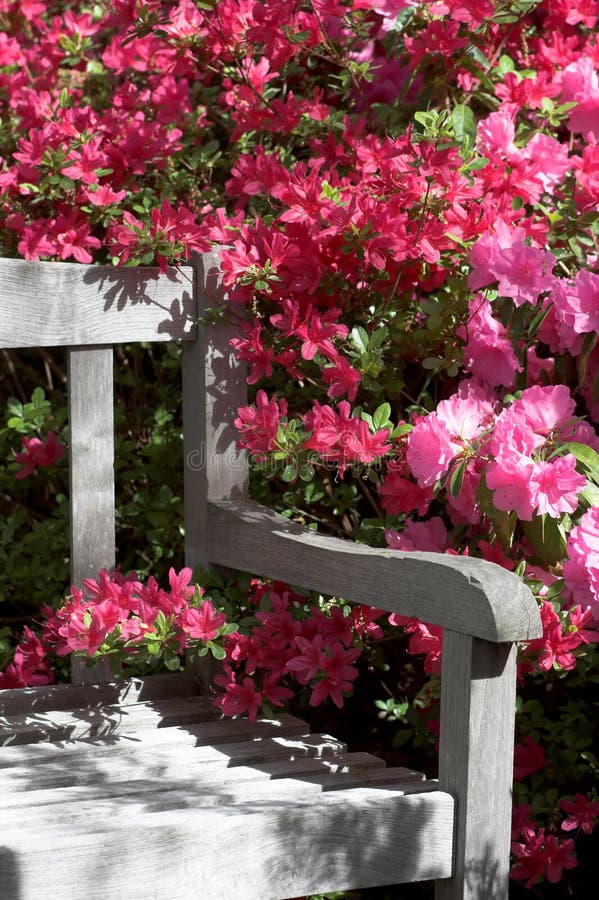 Garden bench and flowers stock photo. Image of garden 2318132