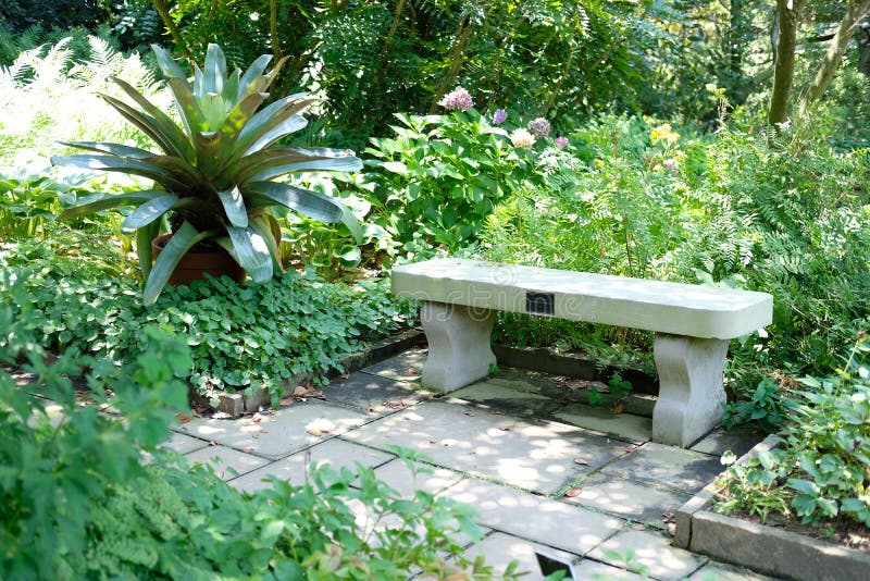 Garden Bench stock photo. Image of bench, plants, park 99115906