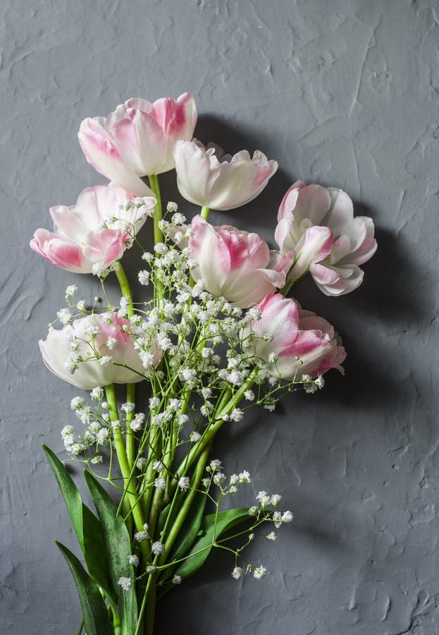 Garden bouquet of tulips on a gray background, top view stock image Garden bouquet of tulips on a gray background, top view stock image