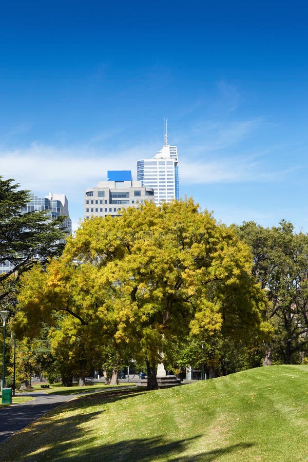 Garden in CBD area stock photo. Image of grass, garden 26679972