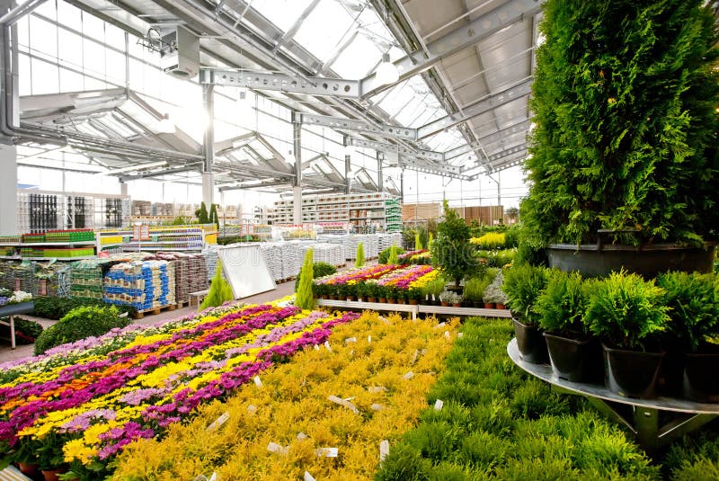 Garden centre stock photo. Image of produce, gerberas 23754234