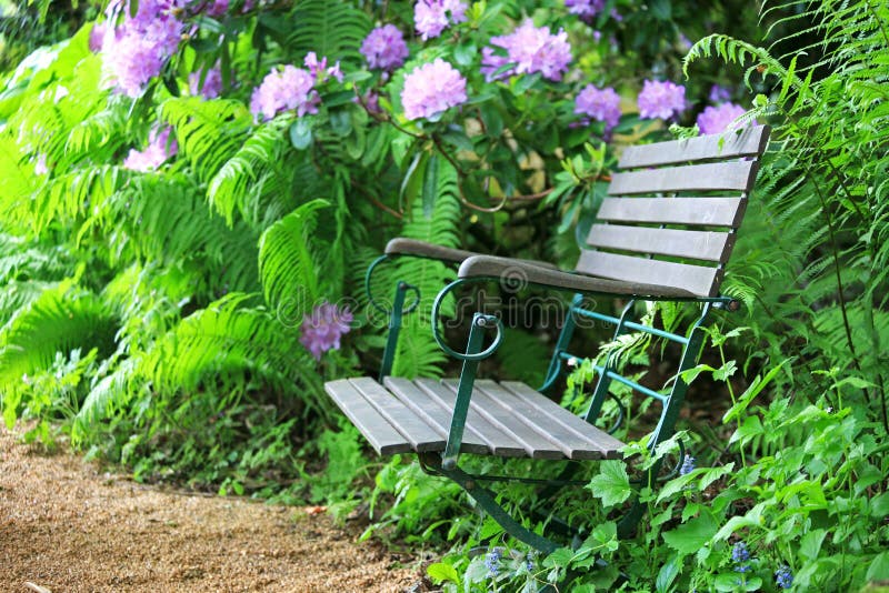 Purple Lawn Chair in Lavender Field Stock Image Image of washington
