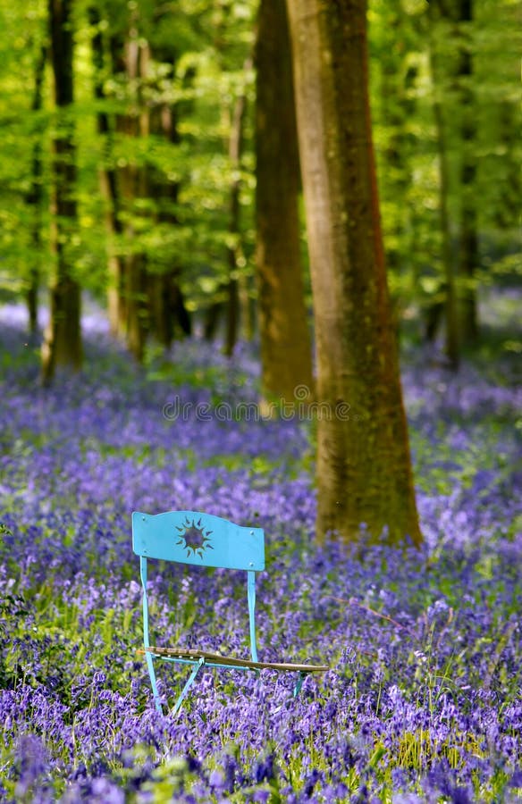 Garden chair in flowers