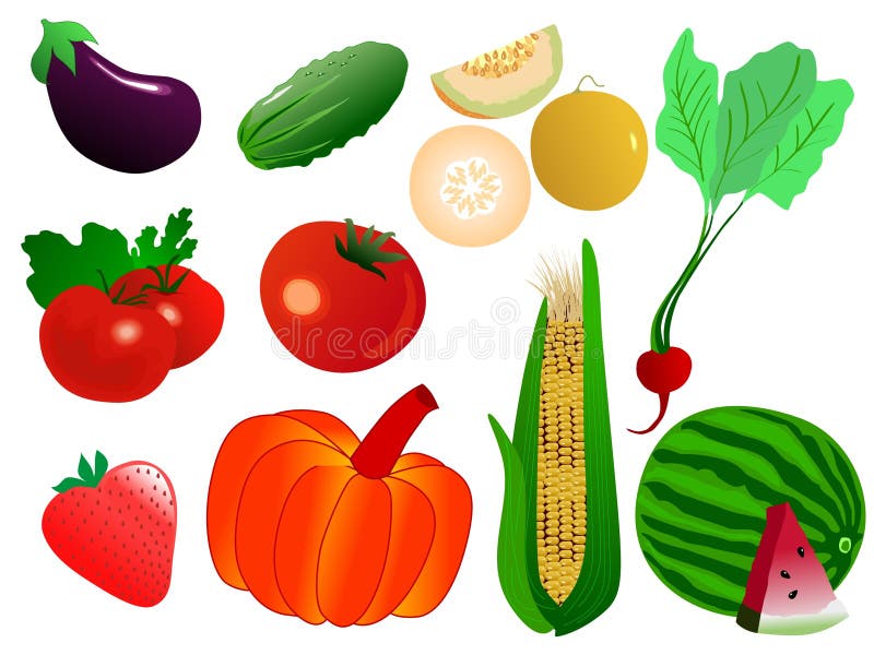 Garden collection stock vector. Illustration of melon - 14108383