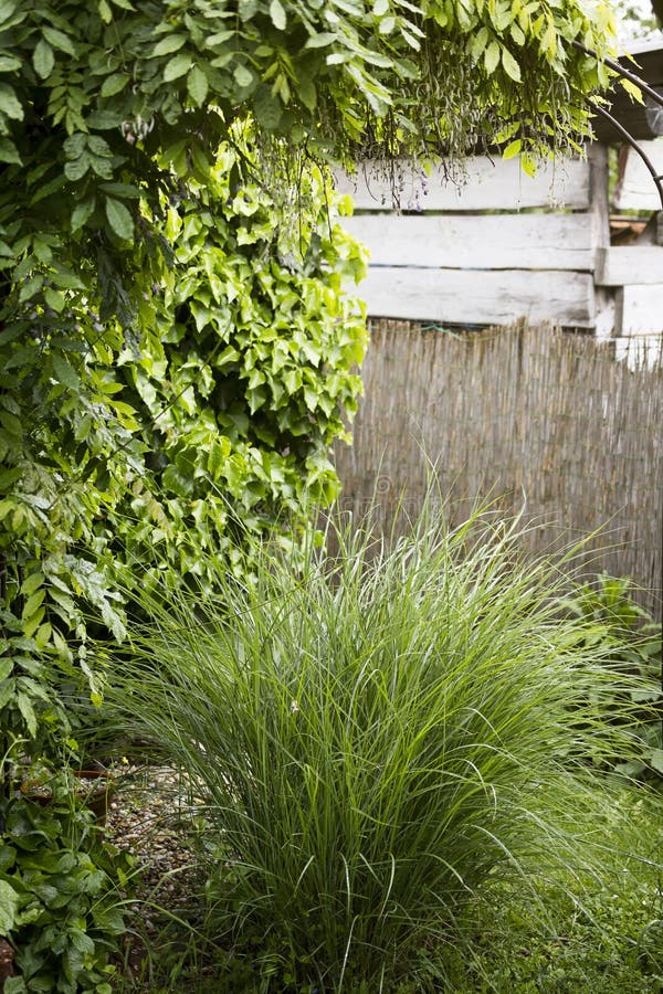 Garden corner with plants stock image. Image of nook 54607275
