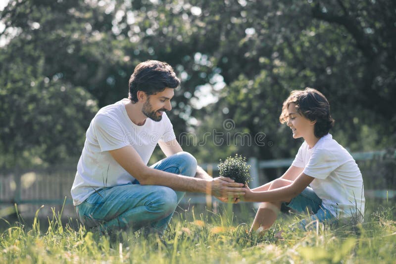 Dark-haired boy and his father holding the plant and feeling good royalty free stock images