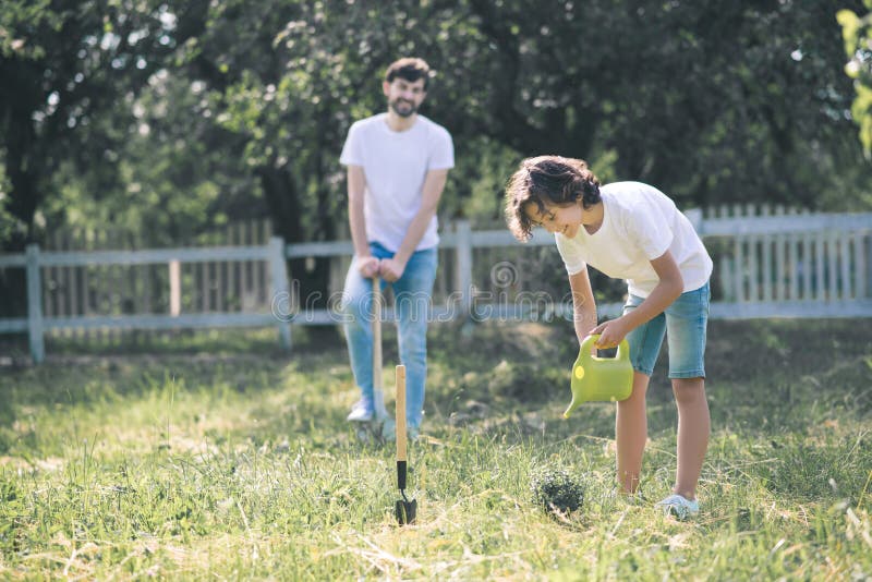 Dark-haired boy watering the plant, his father standing nearby stock photos
