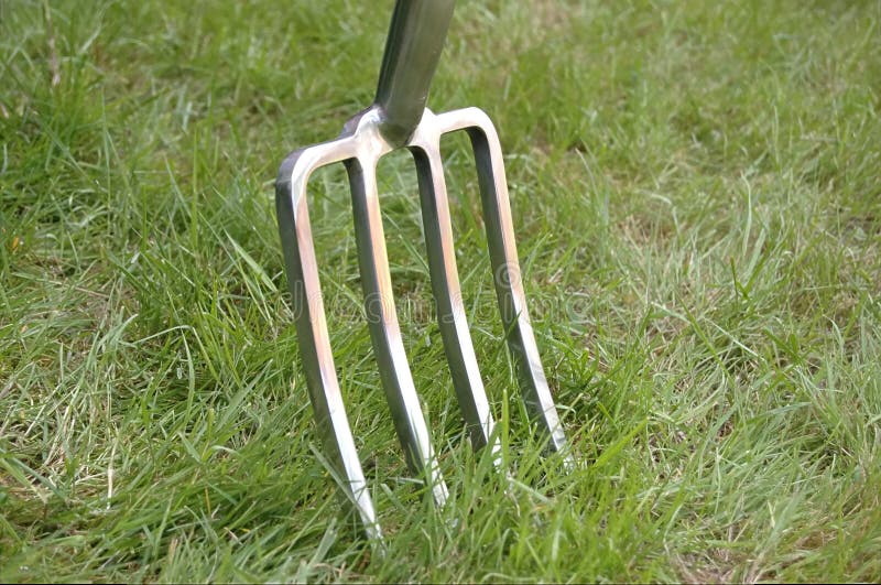 Garden Fork Inserted into Lawn Stock Image - Image of fork, steel: 53448189