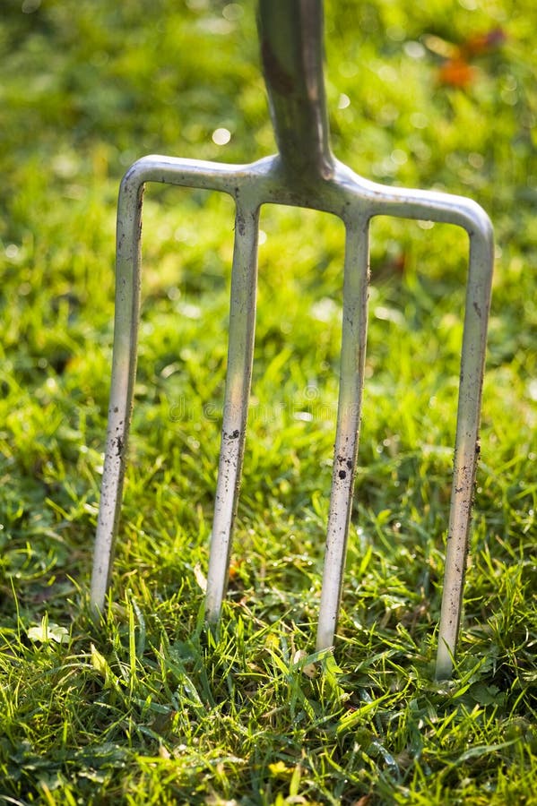 Hoeing the garden. stock photo. Image of cultivate, dutch - 27584828