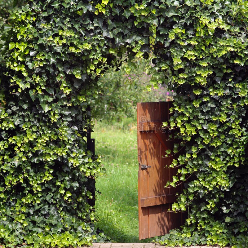 Garden Gate With Ivy Archway Stock Photo Image 43241215