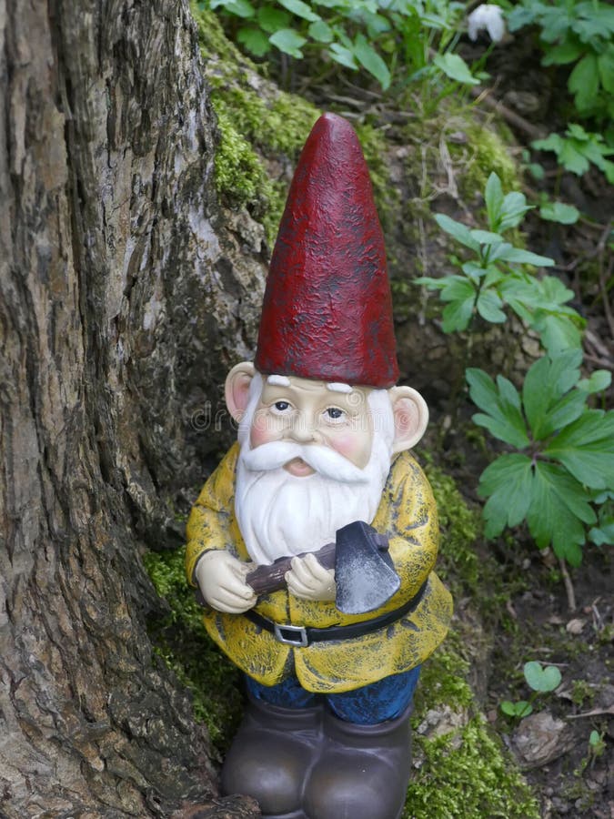 Garden Gnome in the forest stock photo. Image of male - 127709622