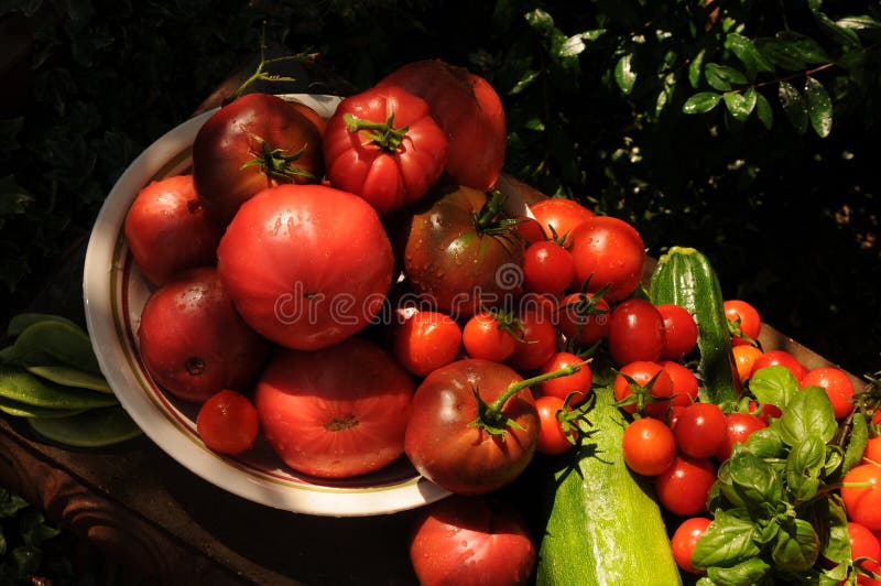 Garden harvest