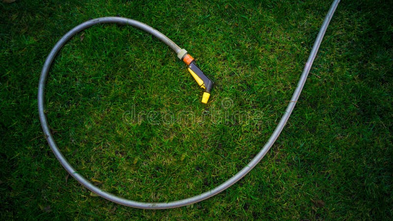 Garden Hose Lying On Green Grass At Garden Stock Photo - Image of