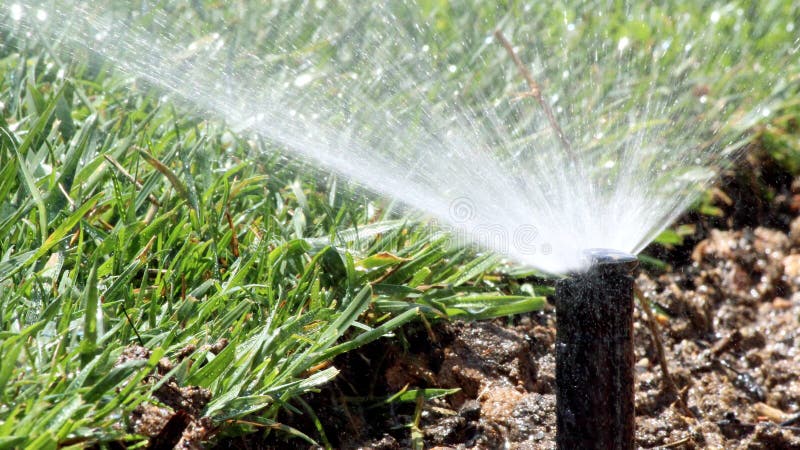 Garden Irrigation Spray system watering lawn