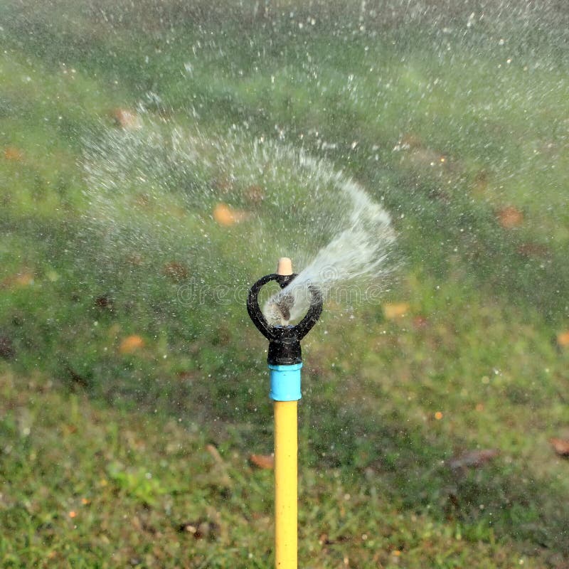 Garden Irrigation or Watering Sprinkler Stock Photo Image of watering