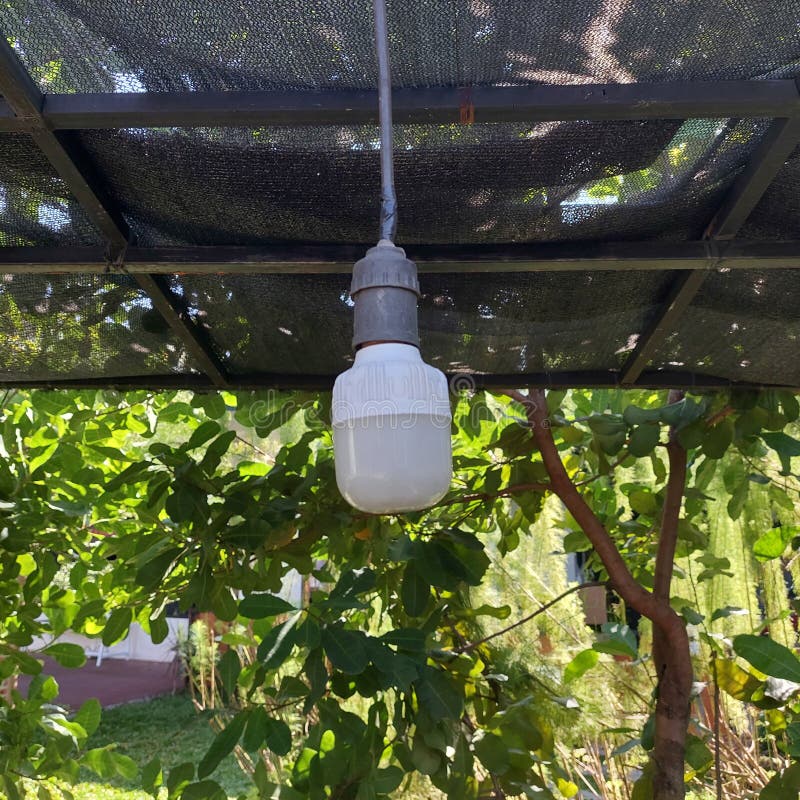 Garden Lamp for Lighting Plants Stock Photo Image of green, woodland