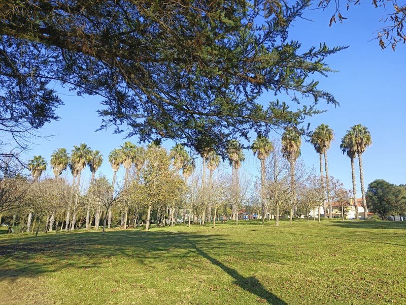 Garden in Laveiras, Caxias, Portugal