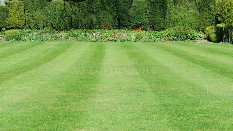 Para cortar césped en pacífico jardín.