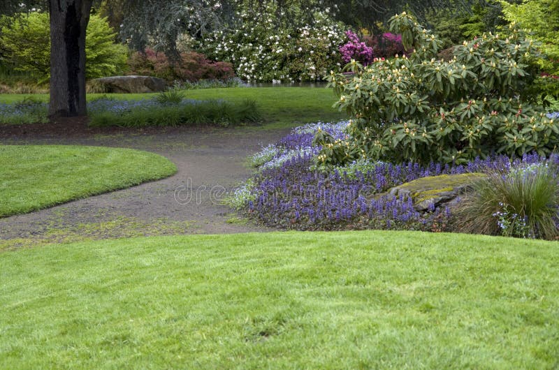 Garden Lawn after Spring Rain Stock Image Image of plant, rain 39958923