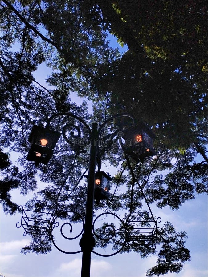 The Garden Lights Under the Shady Trees Stock Photo Image of morning
