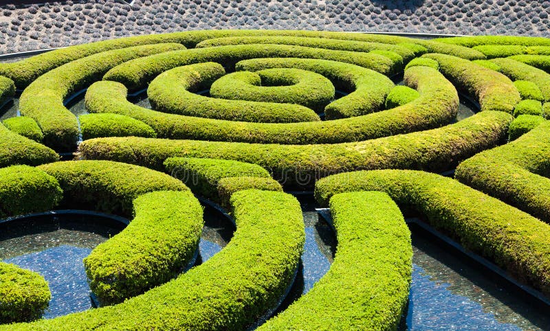 Garden Maze stock images