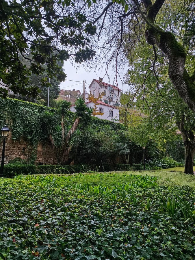 garden with trees and walks in Oeiras, Portugal. garden with trees and walks in Oeiras, Portugal