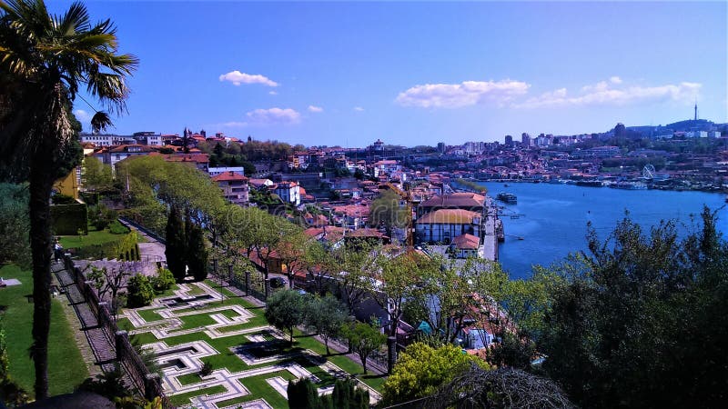 Garden With Palm Trees In Porto With The River View Stock Image