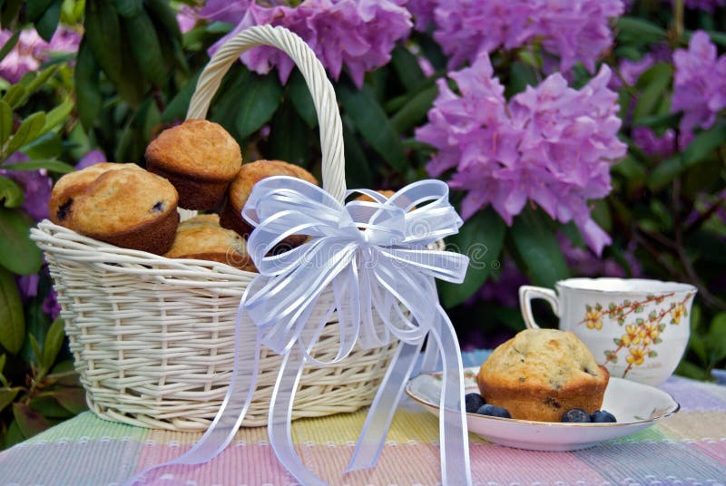 garden party with blueberry muffins