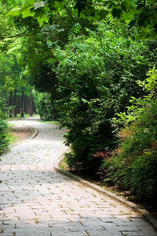 Una foto da giardino la strada.