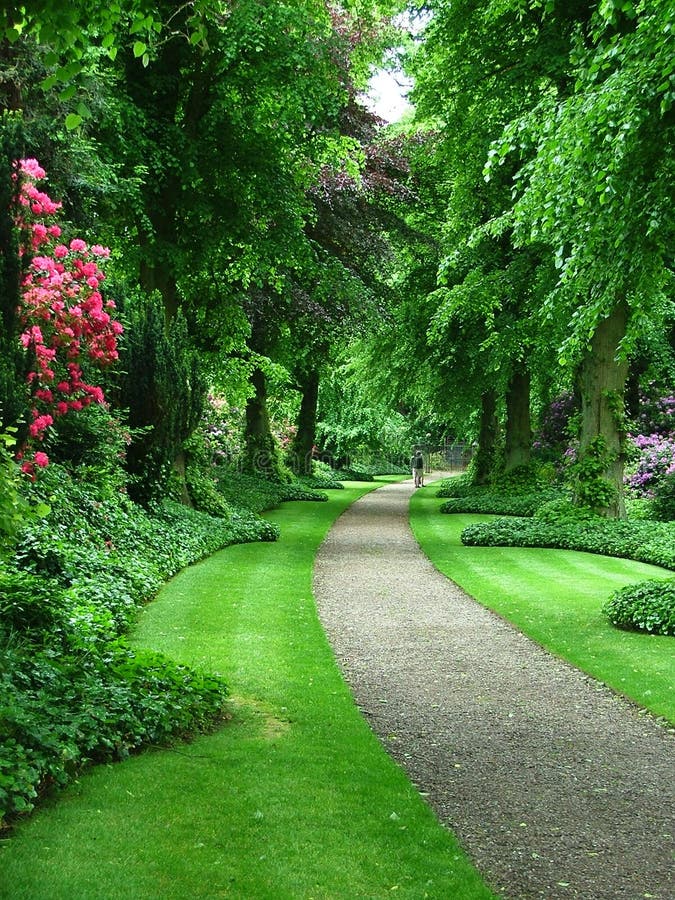 Un rigoglioso giardino e il percorso.