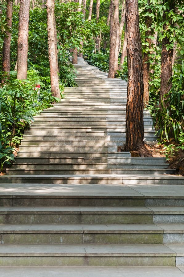 Garden path