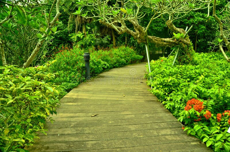 Garden Path, Singapore Botanic Gardens