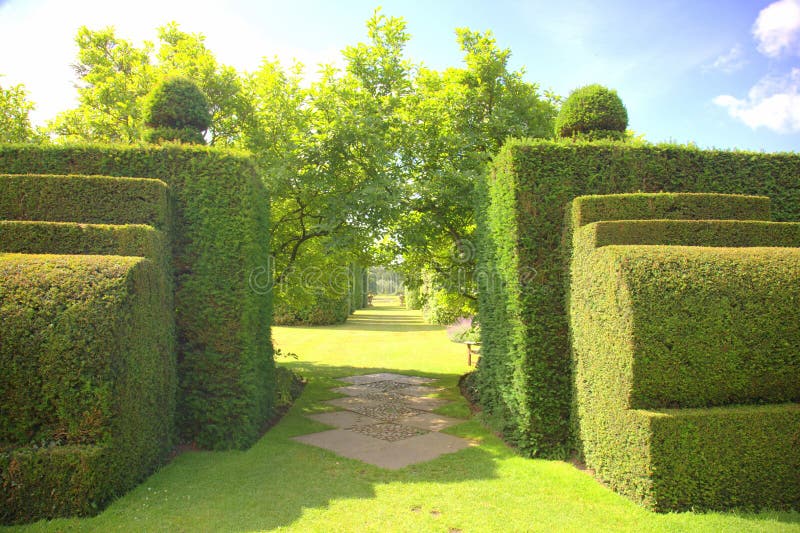 Garden path with topiary shrubs