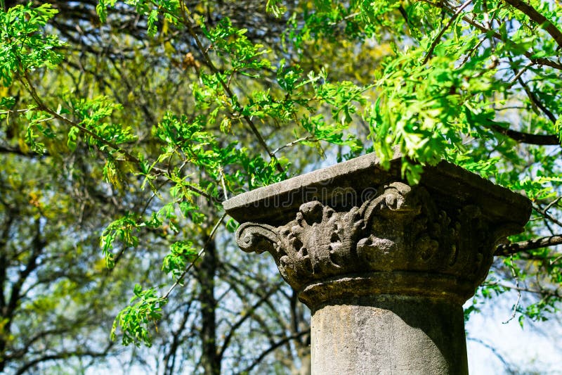 Garden Pillar stock photo. Image of nature, trees, spring 52197156