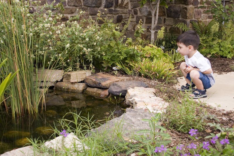 Garden Pond